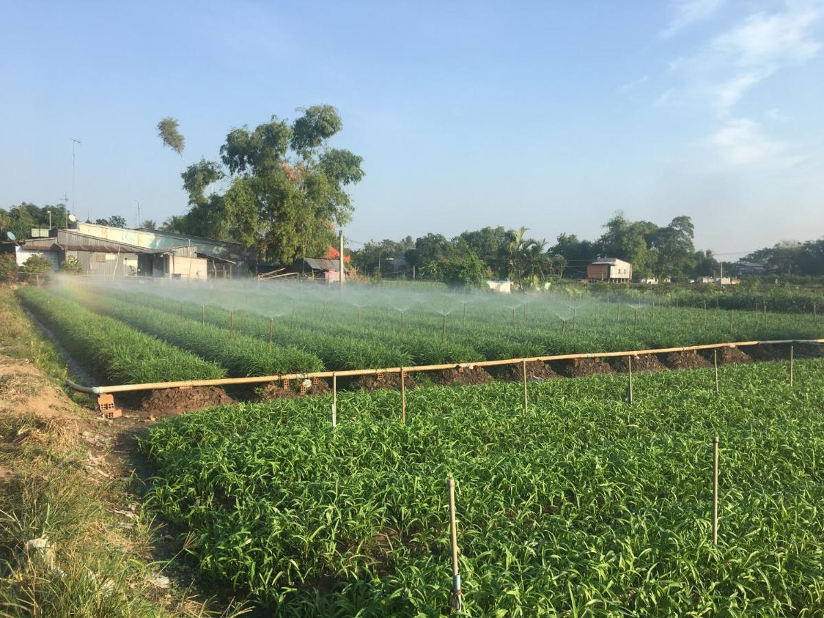 Chau Doc Homestay Екстер'єр фото